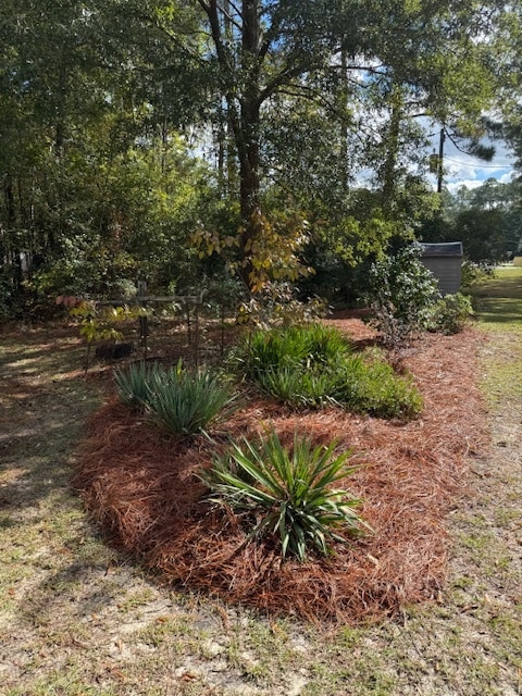 Building Photo - 1323 Salem Rd