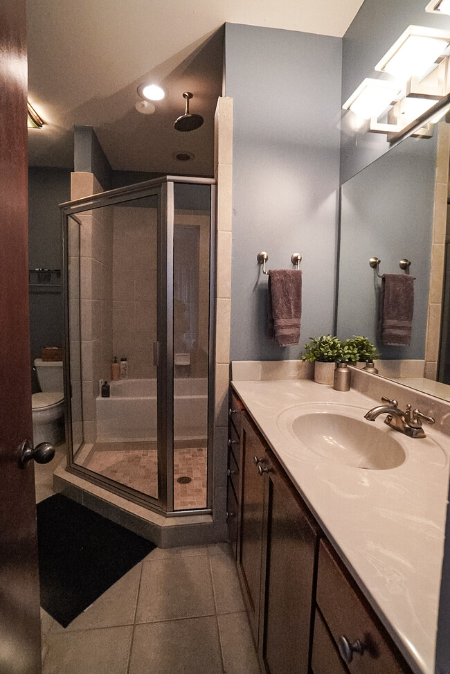 Downstairs Bathroom with rain head shower and bathtub - 791 Wylie St SE