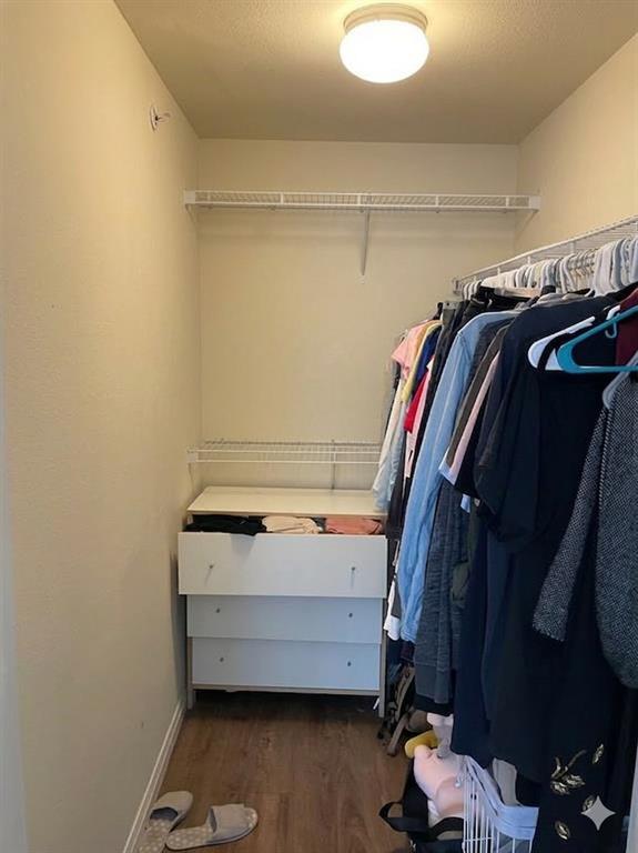 Building Photo - 2505 San Gabriel St