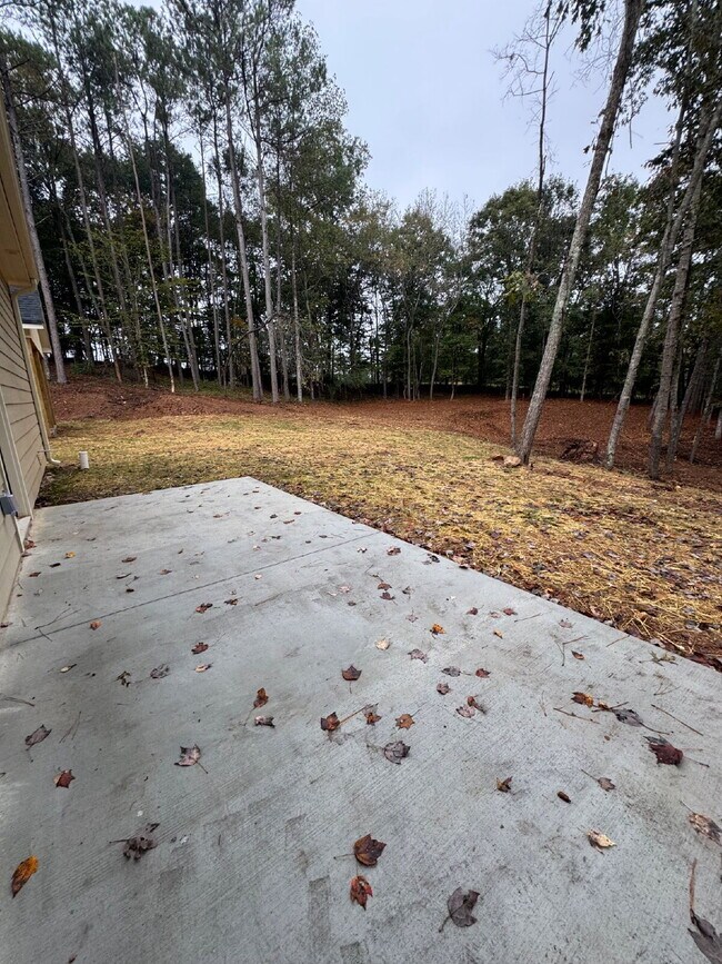 Building Photo - Brand New Rental in North Hall!
