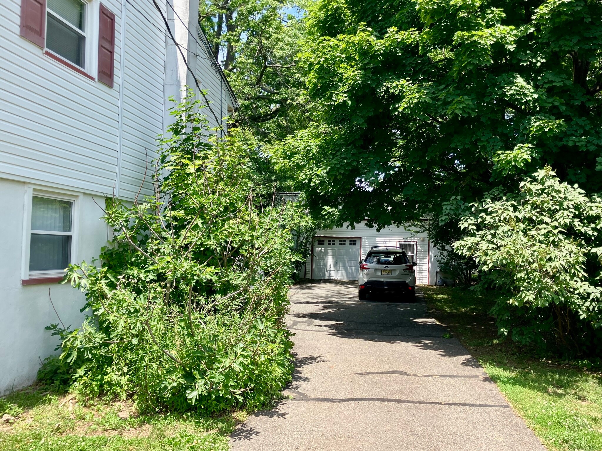 DRIVEWAY - 141 Dunbar Ave
