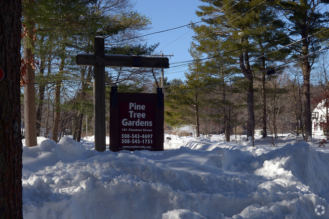 Building Photo - Pine Tree Gardens