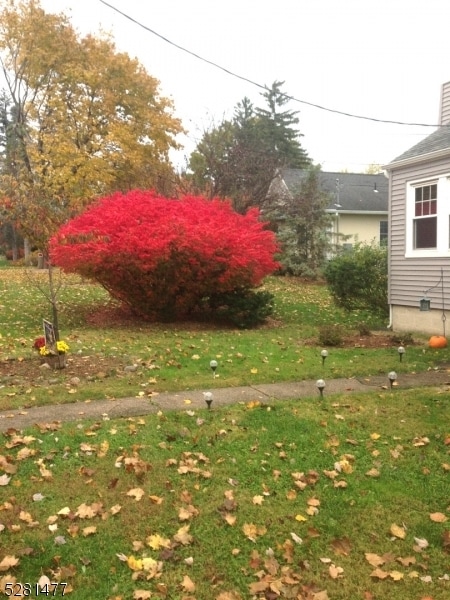 Building Photo - 34 Ahnert Ave