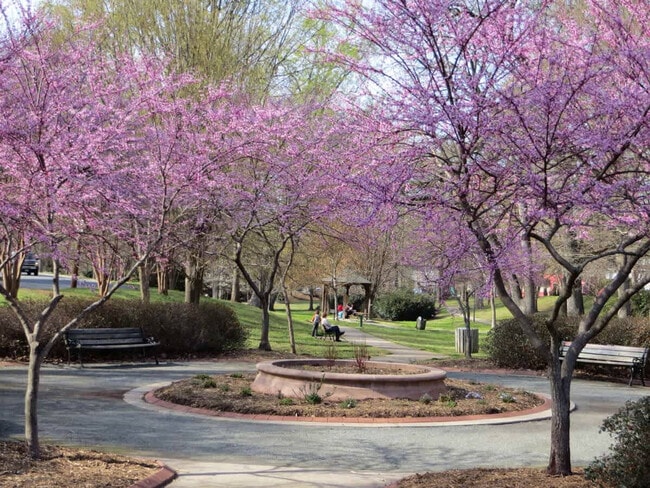 Building Photo - 518 Lamar Ave