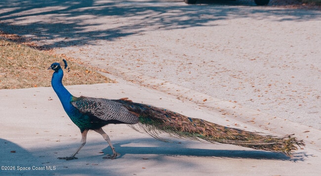 Building Photo - 211 Circle Dr