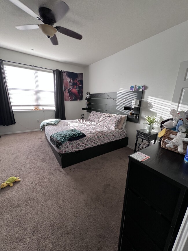 Building Photo - 687 Petal Mist Ln