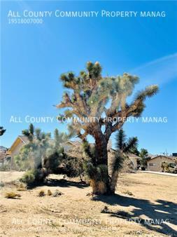 Building Photo - Single Family Home in Yucca Valley!