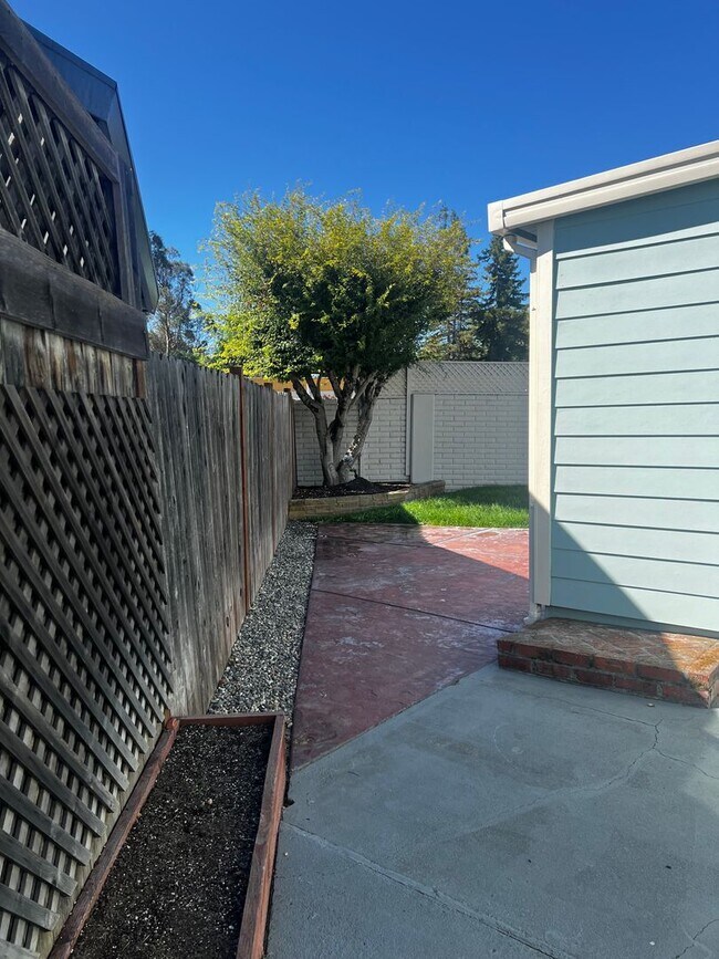 Building Photo - Remodeled Single Story 3 Bedroom/2 Bathroo...