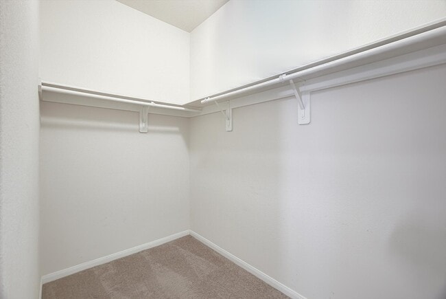 Building Photo - 3323 Creole Bay Ln