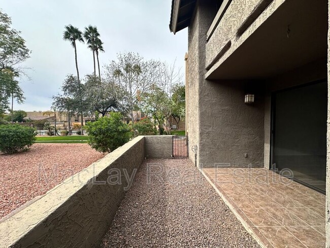 Building Photo - 3825 E Camelback Rd