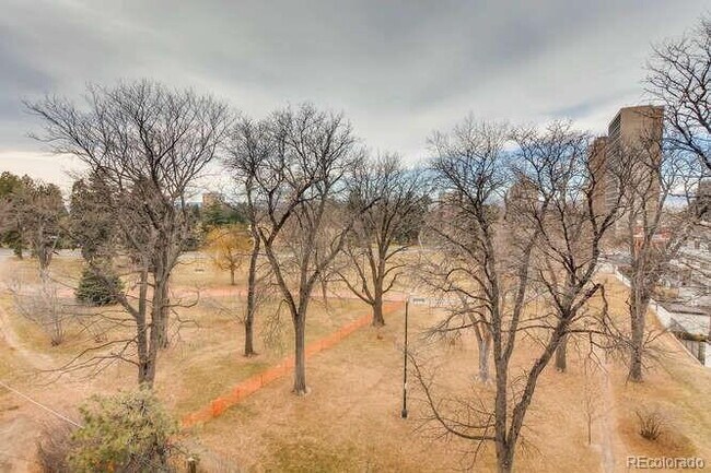 Building Photo - Immediate Availability! Overlook Cheesman ...