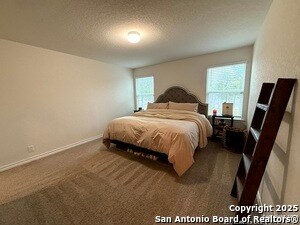 Building Photo - 219 Cuban Emerald