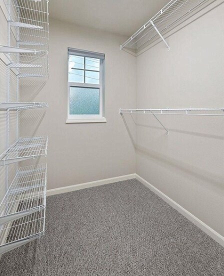 Master Walk-In Closet - 5870 Lien Rd