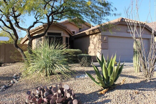 Primary Photo - 10542 E Star of the Desert Dr