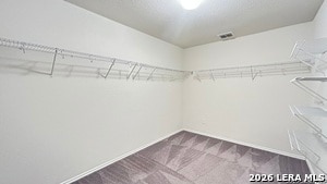 Building Photo - 14003 Knob Crk