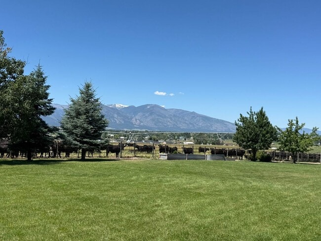Building Photo - Dream Stevensville Horse Property on 8 acres