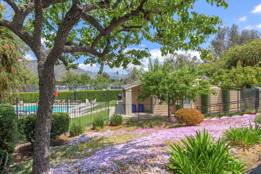 Pool & Grounds - 8341 Grenoble St