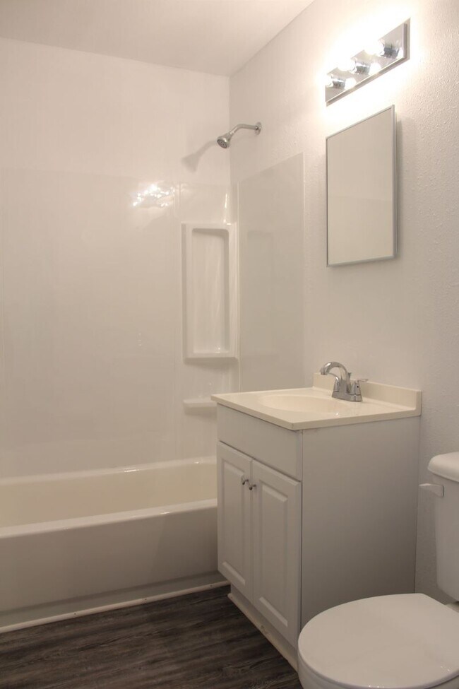 Bathroom - 1260 W Frey St