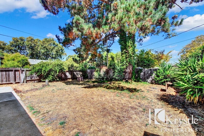 Building Photo - 579 Cedar St