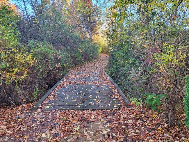 Building Photo - 11719 21 Mile Rd