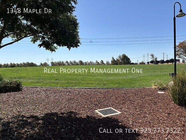 Building Photo - 1348 Maple Dr