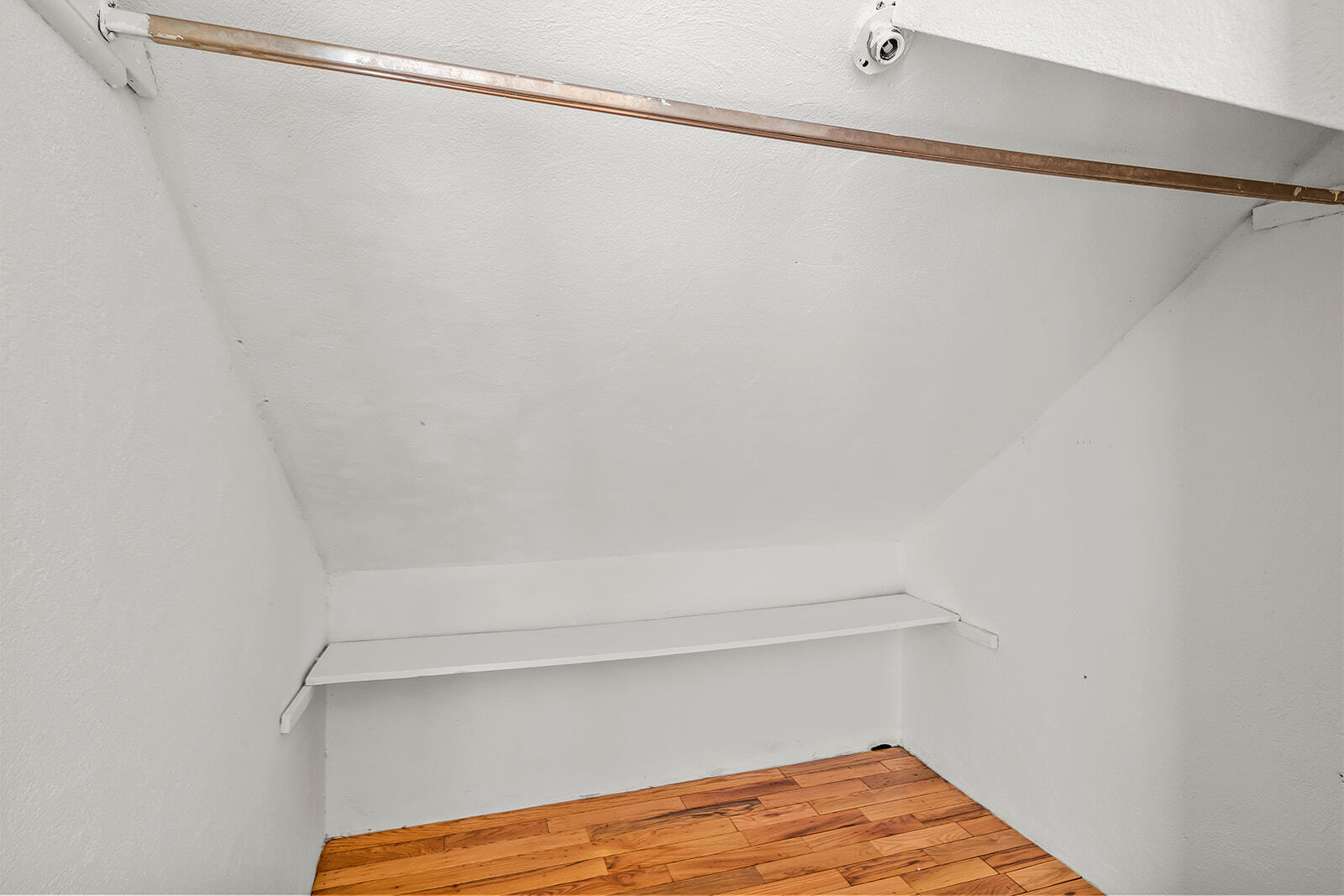 Building Photo - 295 Goldsmith Ave