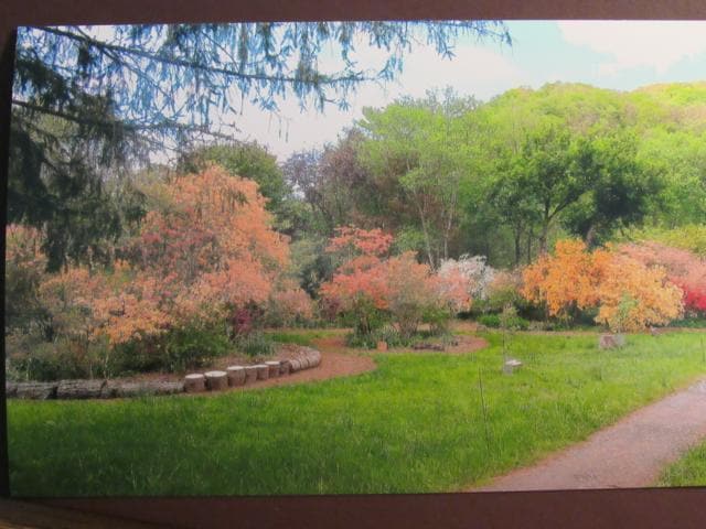 Building Photo - $1,600 - 2 Bed / 1.5 Bath House on Caney Fork with Stunning Landscaped Gardens