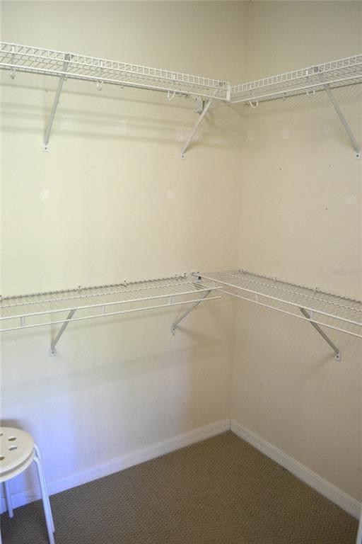 Building Photo - 11158 Kapok Grand Cir