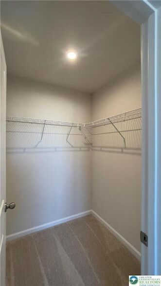 Building Photo - 2719 Barnes Ct