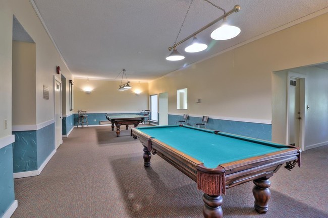 Pool table - 1720 Halford Ave