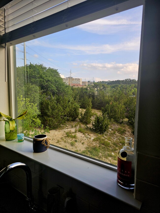 open space behind - 2050 Lohmans Spur Rd