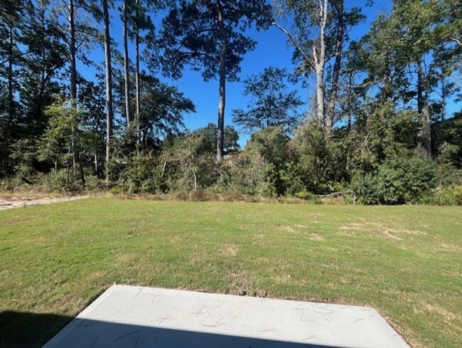 Building Photo - Cozy New-Build in Leland!