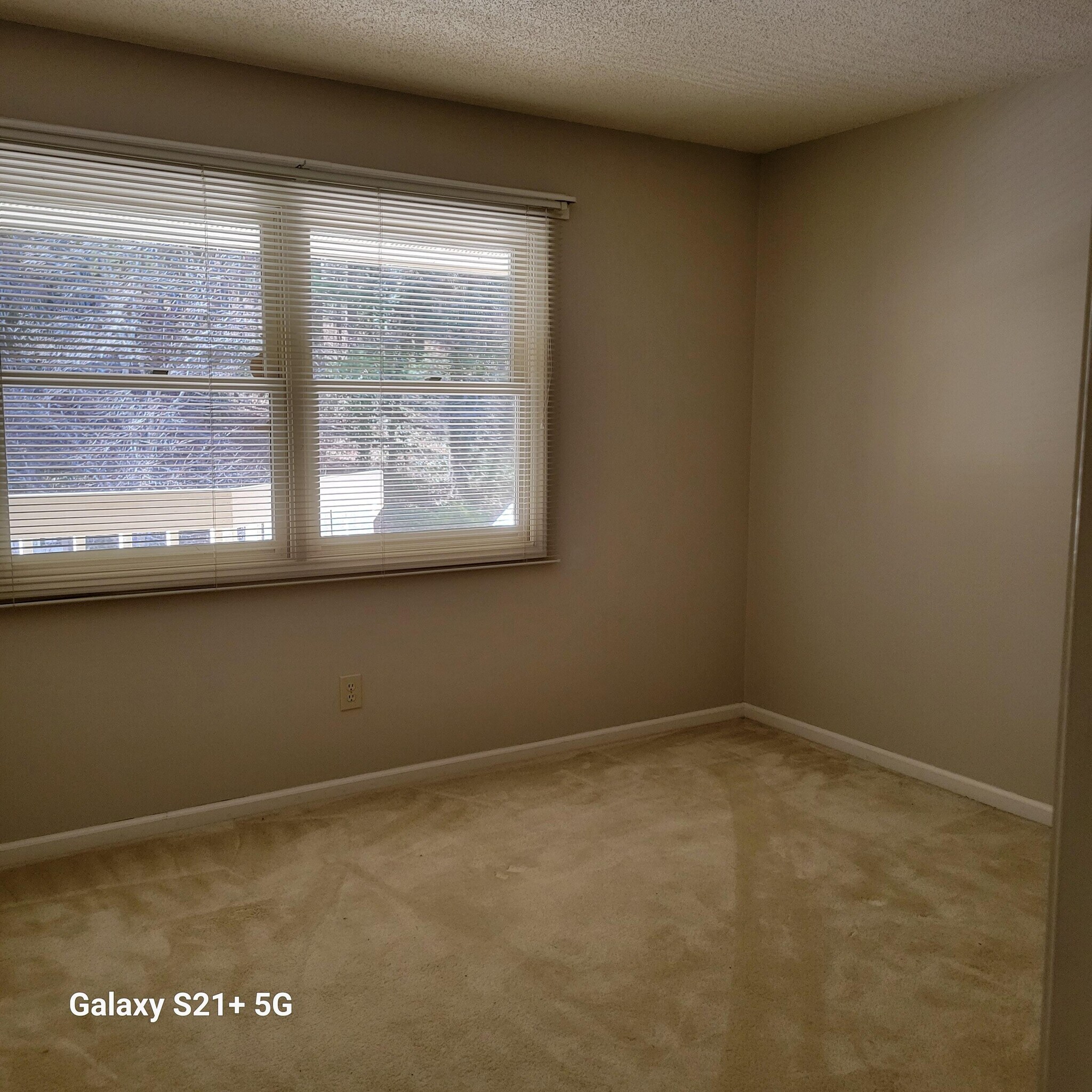 2nd Bedroom - 14 Willow Tree Run