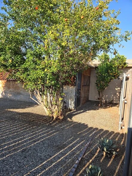 Building Photo - 573 San Rogelio St