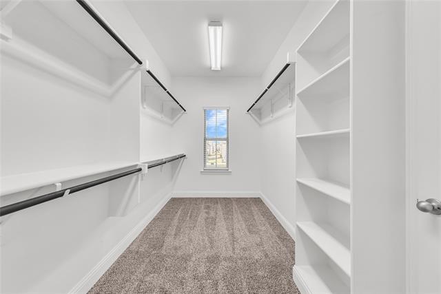 Building Photo - 4717 Piedras Lanzar Dr