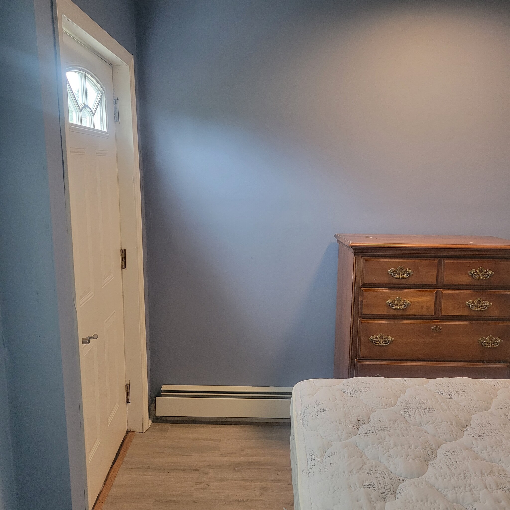 Back door - 50 Airlie St