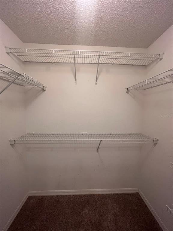 Building Photo - 319 Velveteen Pl