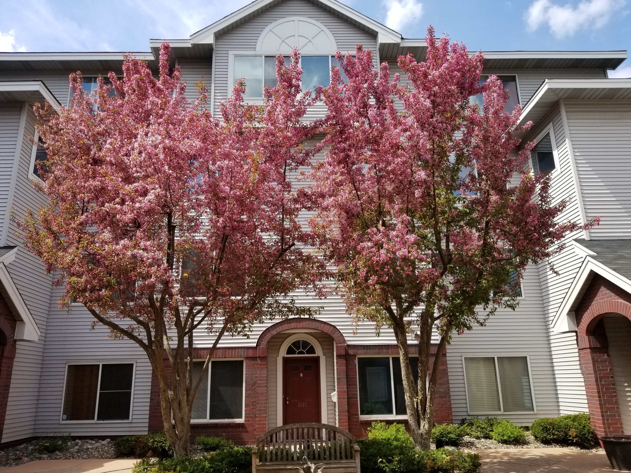 Courtyard View - 7540 Edinborough Way