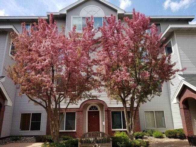 Courtyard View - 7540 Edinborough Way
