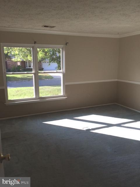 Building Photo - 3584 Palmetto Ct