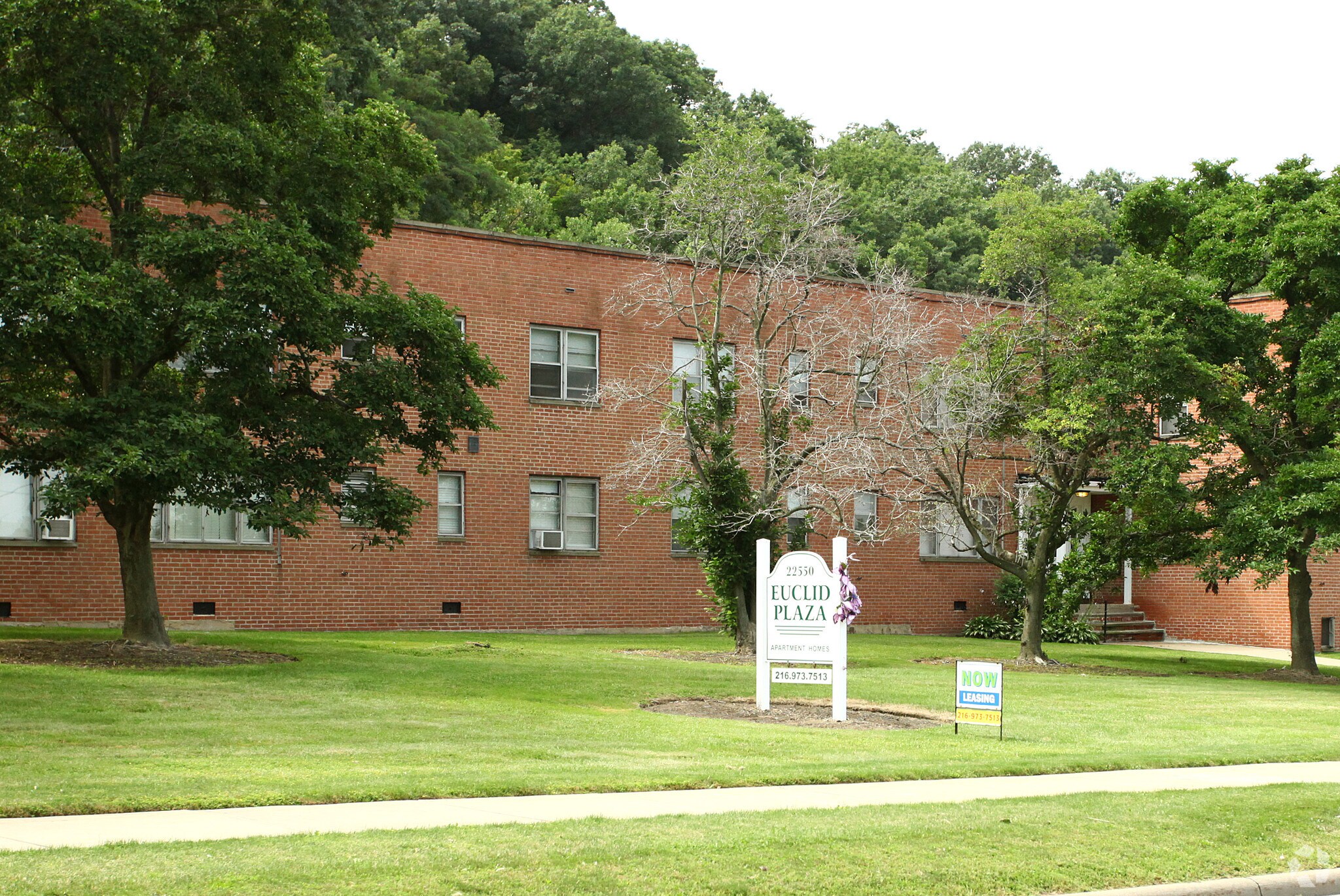 Building Photo - Euclid Plaza