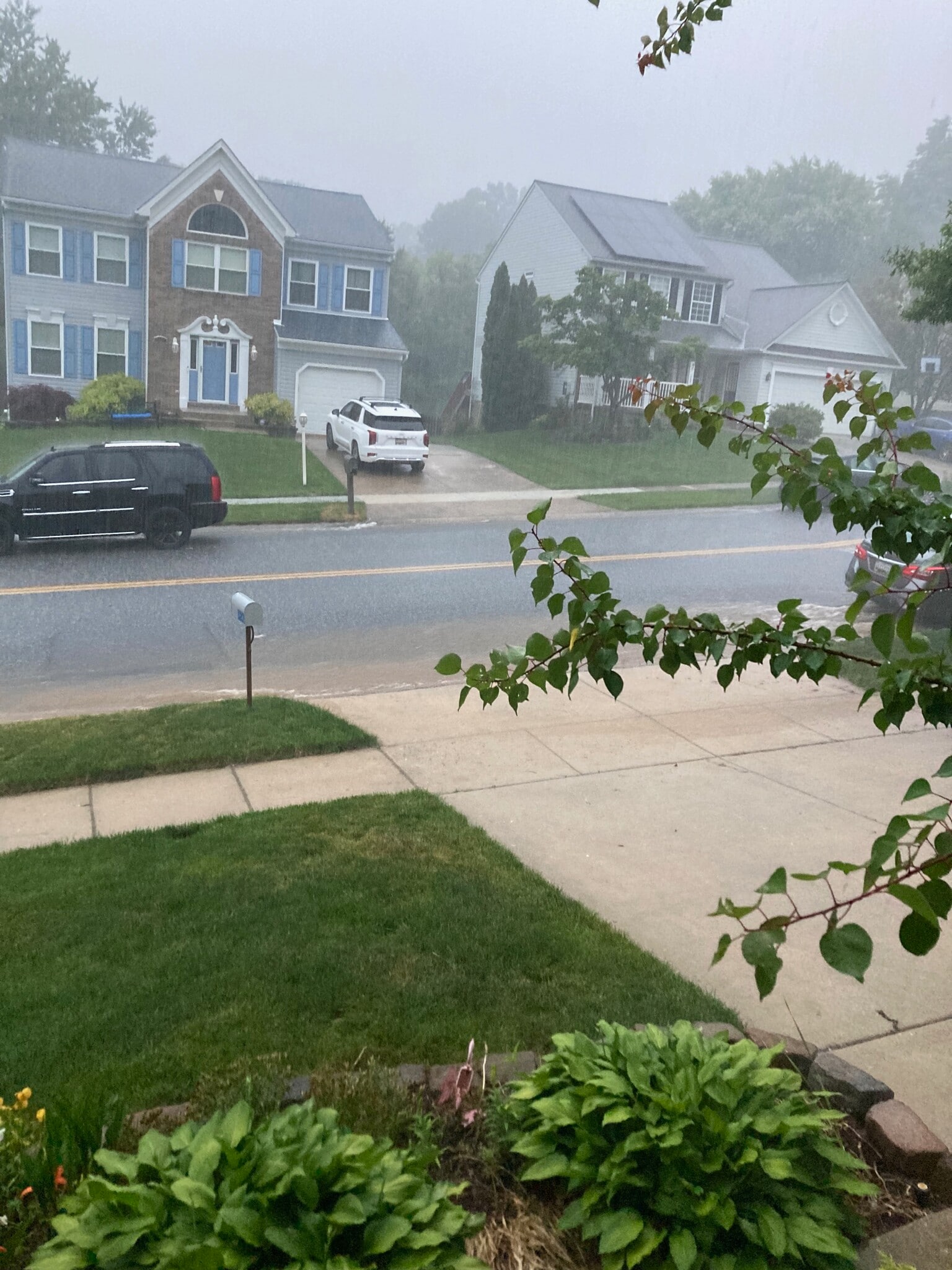 Building Photo - 3203 Trellis Ln