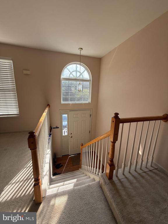 Building Photo - 102 Regents Ct