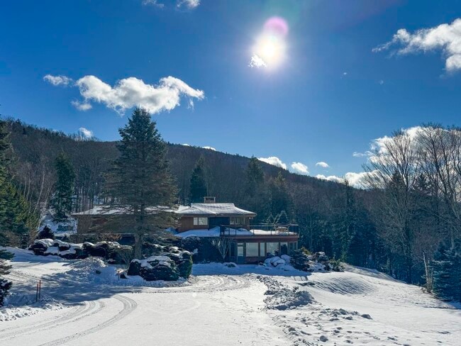 Building Photo - 458 Cider Mountain Rd