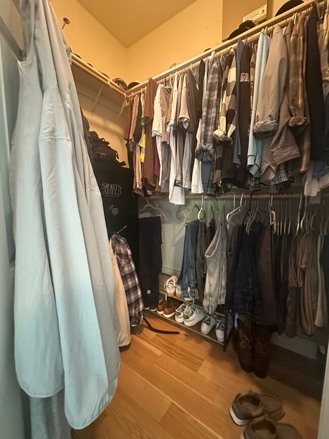 Building Photo - Gorgeous single story with Pool!