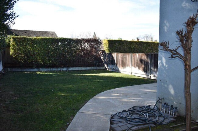 Rear Yard - 4713 Eagle Lake Dr