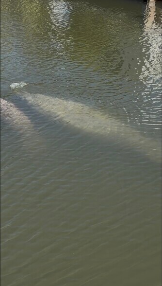 Building Photo - 11 Flamingo Rd