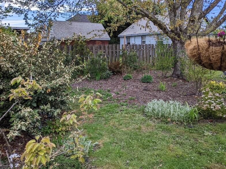 Backyard (3) - 1124 Almaden St