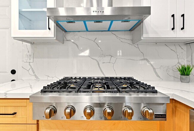 Building Photo - 11 Paddock Ct