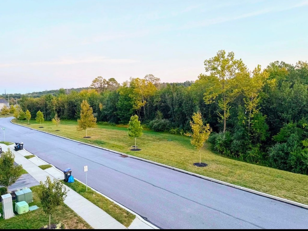 Building Photo - 119 Livingston Ln